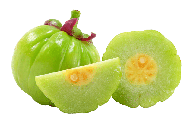 Extrato de garcinia cambojana