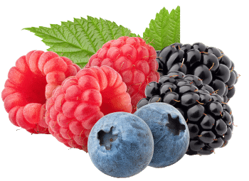 Sabor de frutas silvestres